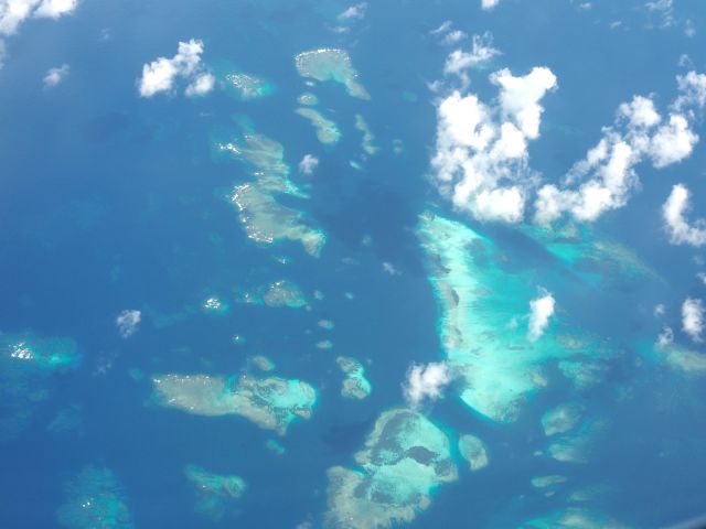 Ocean Life - Yabiji: Japan's massive phantom reef group