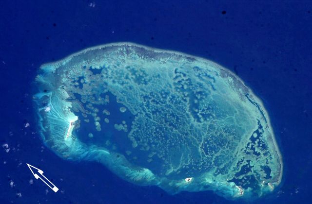 Ocean Life - Scorpion Reef: the southern Gulf of Mexico's largest atoll