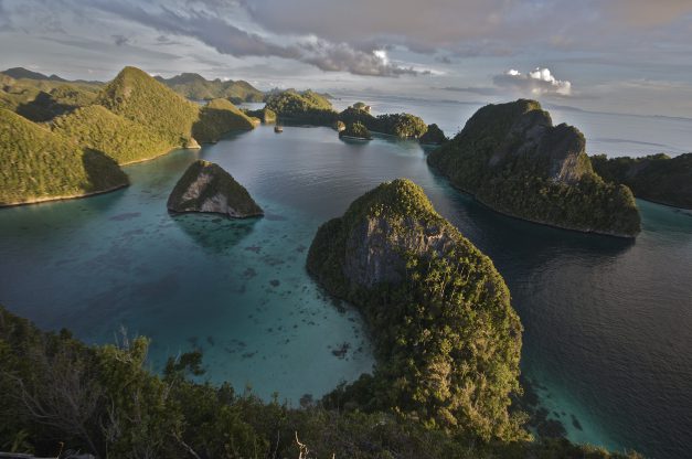 Ocean Life - Raja Ampat: the heart of marine biodiversity