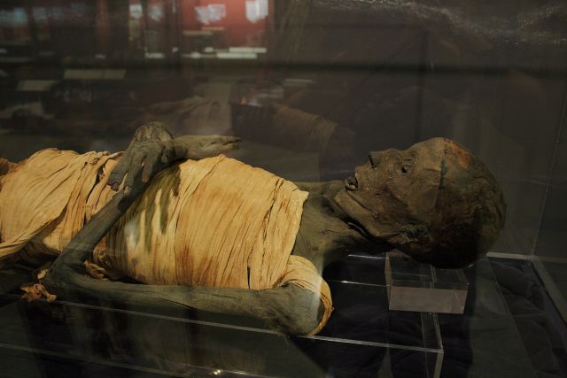 Egyptology - Usermontu: the mummy with an ancient prosthetic pin