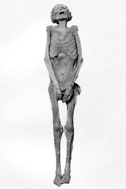Egyptology - Prince Pentawer: the royal conspirator buried in shame
