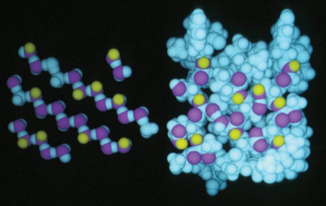 Weather - Bioprecipitation: how airborne microorganisms help trigger rain and snow