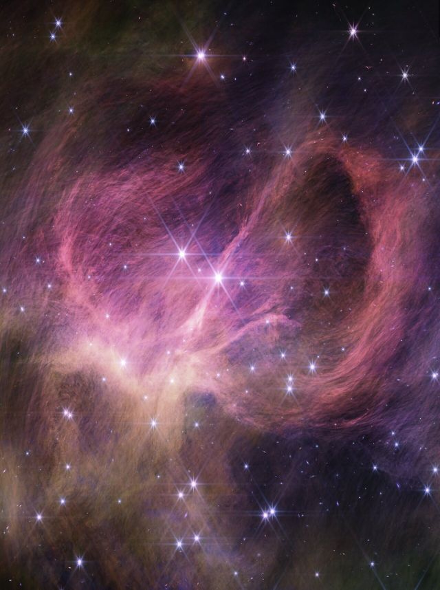 Space - IC 348: Webb finds record tiny brown dwarfs