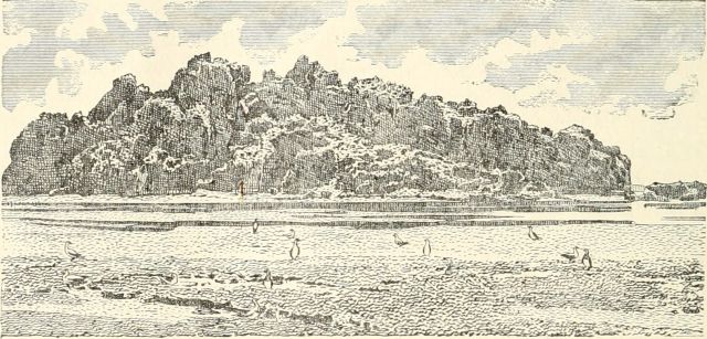 Ocean Life - Clipperton Island: The isolated Pacific atoll with tragic history