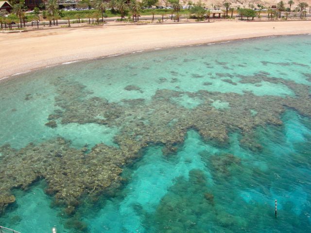 Ocean Life - Fringing reefs: The shorelines where coral growth begins