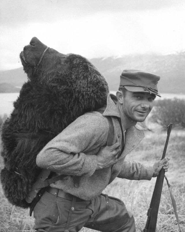 Wild Animals - Bear hunting: ancient survival and modern wildlife management