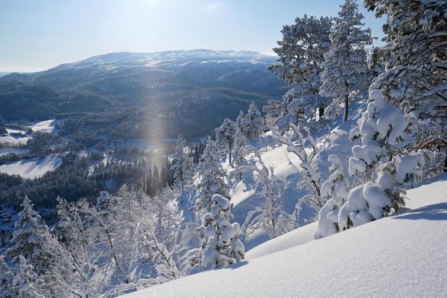 Science & Nature - Diamond dust: the icy polar haze of clear skies
