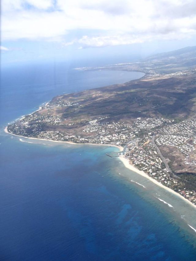 Ocean Life - Réunion's coral reef: A narrow sanctuary by the abyss