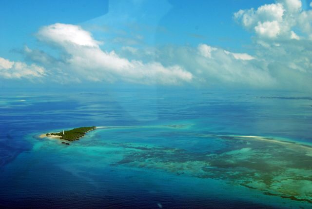 Ocean Life - African coral reefs: Diverse marine habitats across two oceans