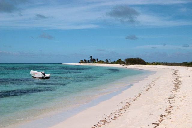 Ocean Life - Las Aves Archipelago: Venezuela's pristine Caribbean islands