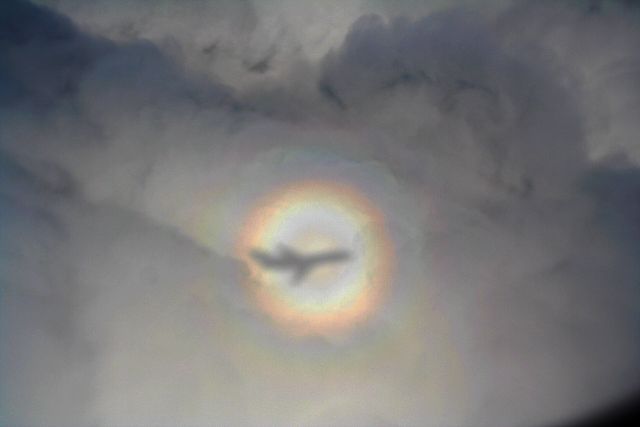 Science & Nature - Optical glories: Concentric rings around an observer's shadow