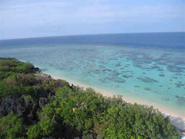 Ocean Life - Apo Reef: The world's second-largest contiguous coral system