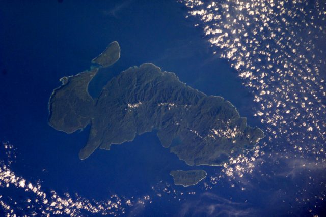 Ocean Life - Solomon Islands: Guardians of the Coral Triangle's richness