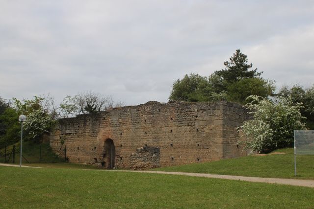 Castles & Palaces - Château de Doué-la-Fontaine: The earliest stone castle