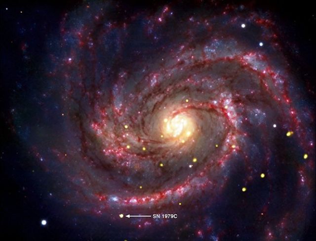 Astronomy - SN 1979C: the distant supernova revealing a newborn black hole