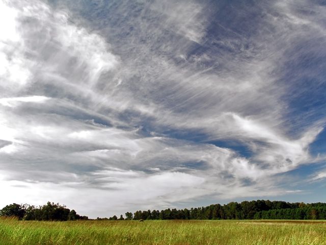 Weather - Cirrus clouds: wispy ice crystals high above Earth