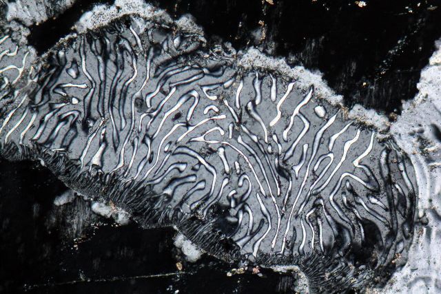 Science & Nature - Myrmekite: microscopic wormy minerals shaped by tectonic deformation