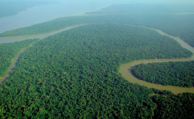 Planet Earth - Tropical rainforests: Earth's vibrant and layered biodiversity hotspots
