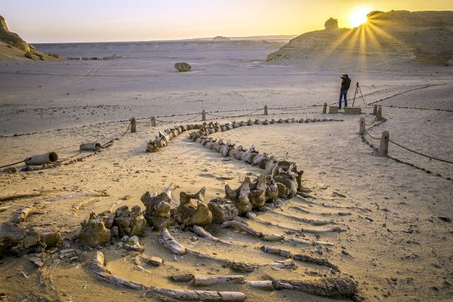 World Wonders - Wadi al Hitan: Egypt's desert valley of ancient whales